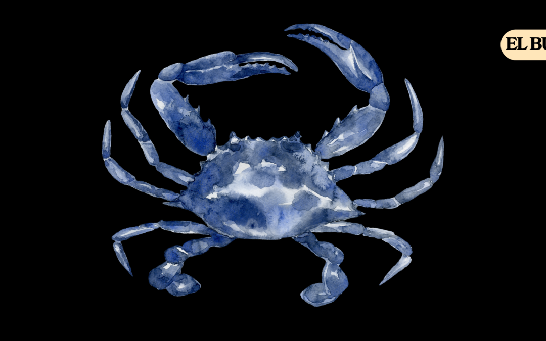 Horóscopo